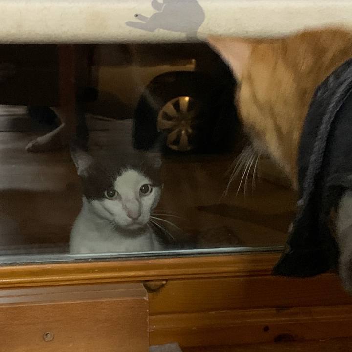 88f6bc36 2e2b 4170 80fc 185b46142886 1659365810930