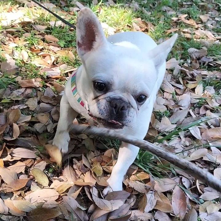 88f6c55e bb18 4950 882c 99be01024a1c 1681808768787