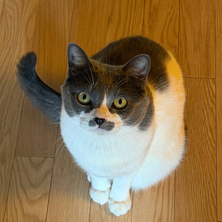 88f708bb 011d 4917 b554 eda4c490afc1 1770513904119