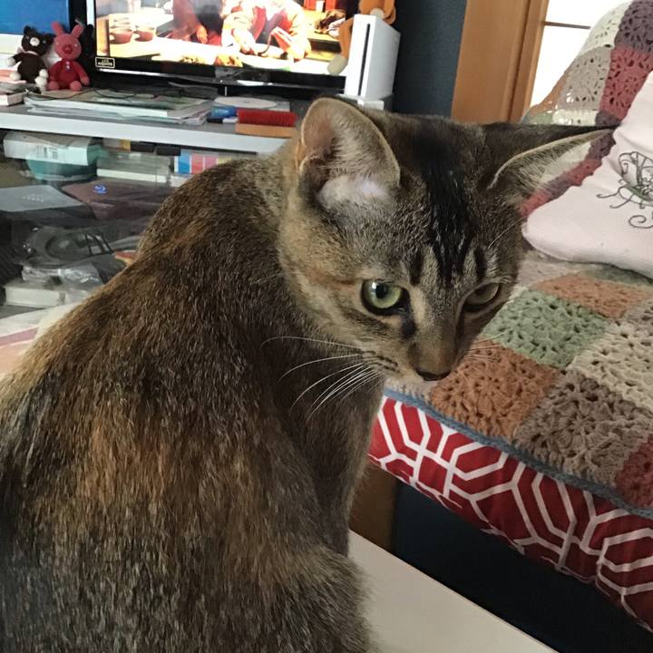 88f72918 5326 457d a843 e484dcf22fb9 1576890045982