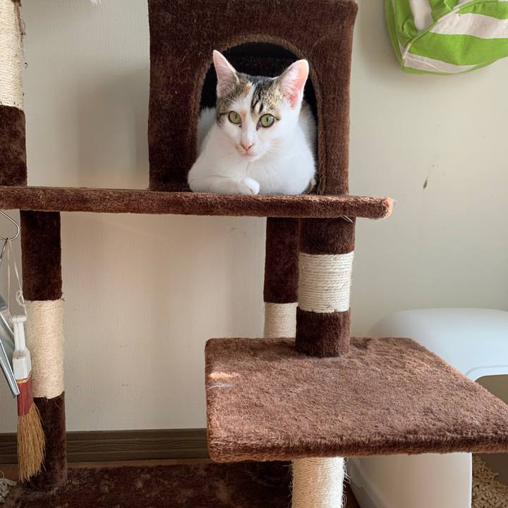 88f73f2c 6697 4dfc a651 a1eda006b316 1605658858371