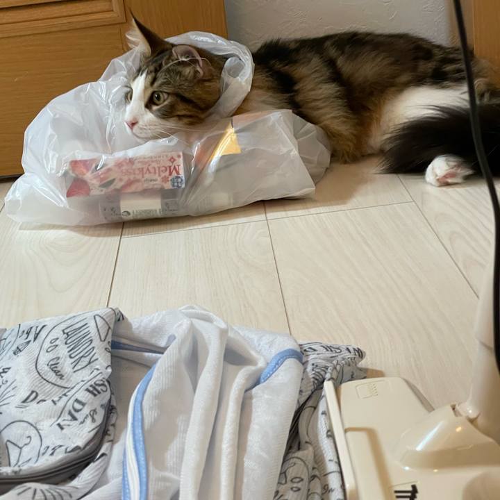 88f760b3 451b 49de 858b 2cc5c0e349c7 1641785559653