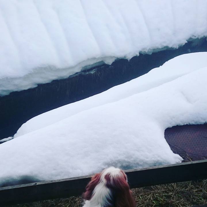 88f7a839 e63f 4df4 8dd6 9f4179643dfd 1549147458891