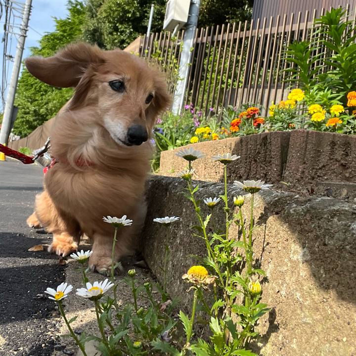 88f7b5f1 a8cf 459b 9cde 71e95142bad8 1682950830004