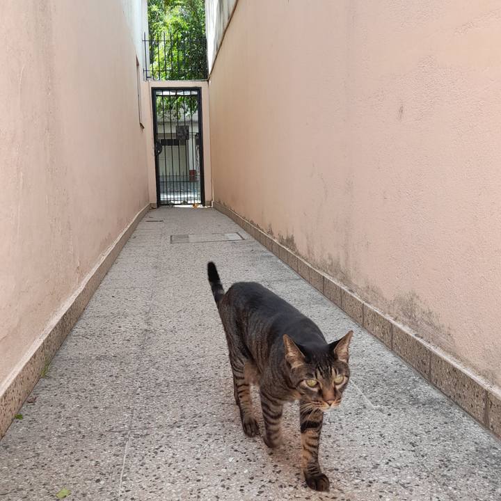 88f7e465 f5b6 416a 82b7 cc5c92bc099e 1770990177024