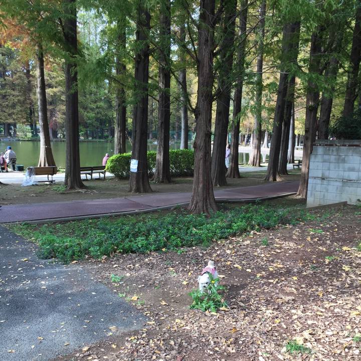 88f8295e 456f 4366 887e 12f05ca1d0b2 1542522789978