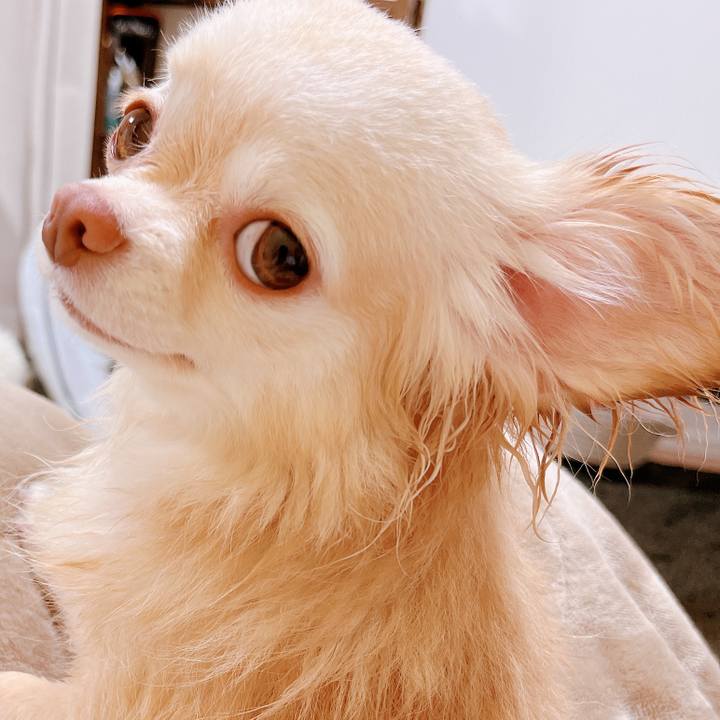 88f8315d f320 4bb8 91fd 9e8019fdd47b 1657534825312