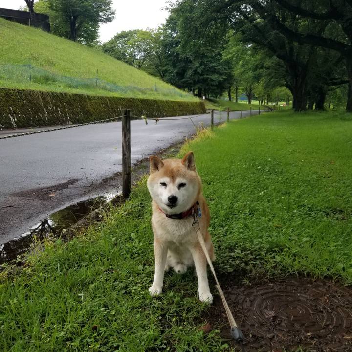 88f84905 7312 48d5 8b92 020c9386194c 1720664187049