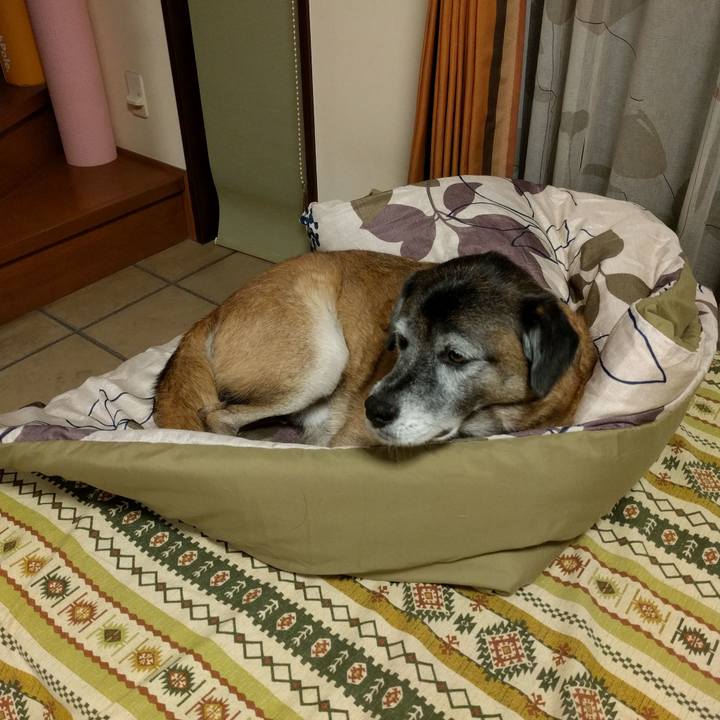 88f84f49 e478 4ec8 b548 0b7355eff756 1541816091777