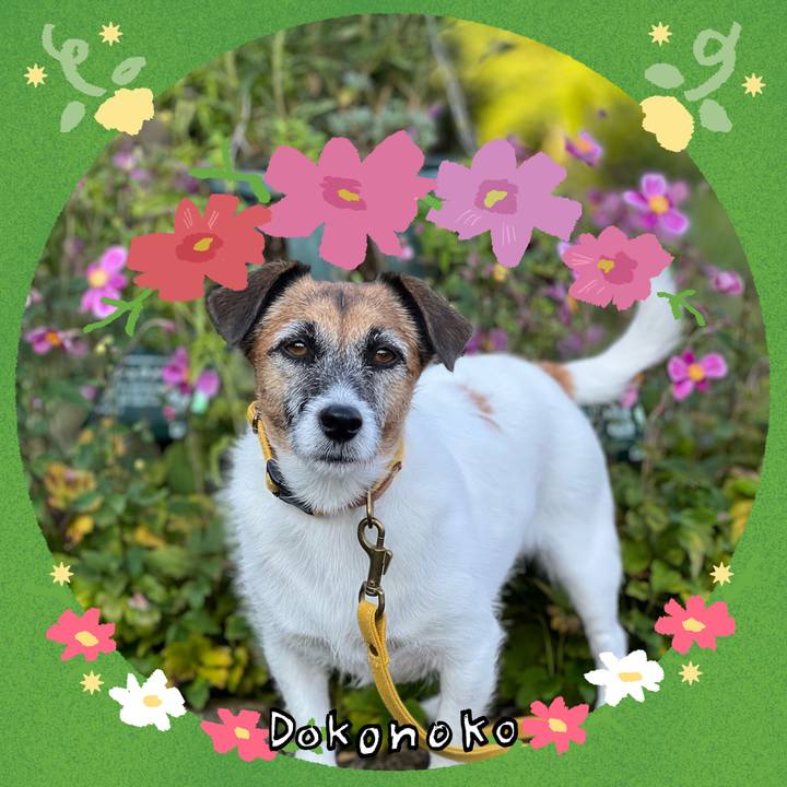 88f86df1 6c2a 4283 9f2d 35dcca907cb5 1726825740357