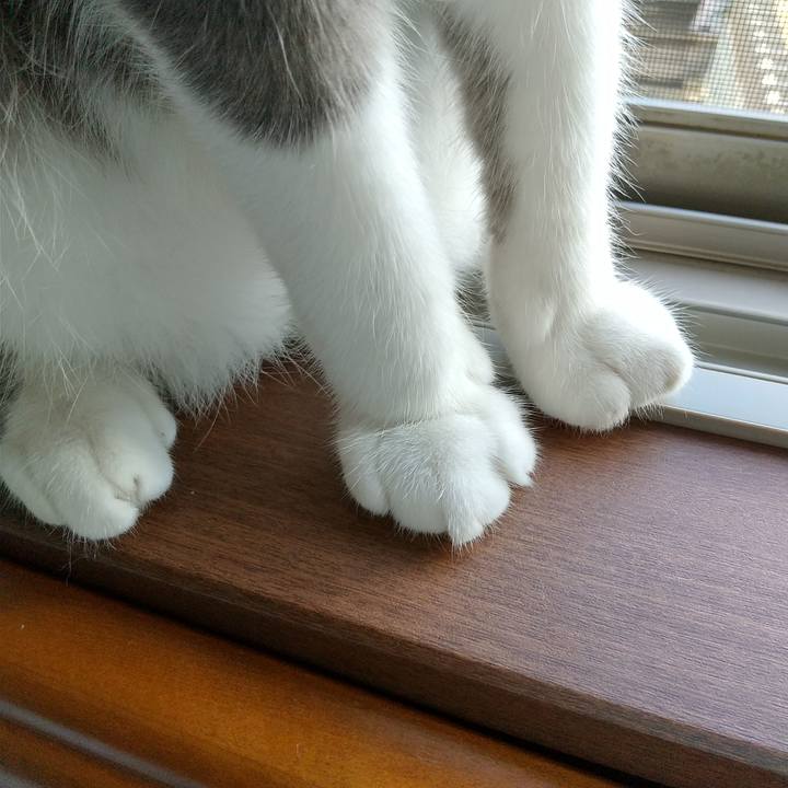 88f8817f e596 4e4e a482 6ab1eb77448f 1599948936752