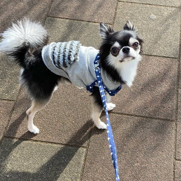 88f8944e f5ab 49fc 93b4 7b5a5dc6f565 1640411883398