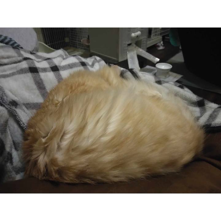 88f8ebe1 62a1 444f a24a 91840f1fb438 1698668791281