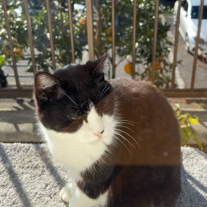 88f8f705 a2b1 455b 8b96 0ac746018c09 1767058116187