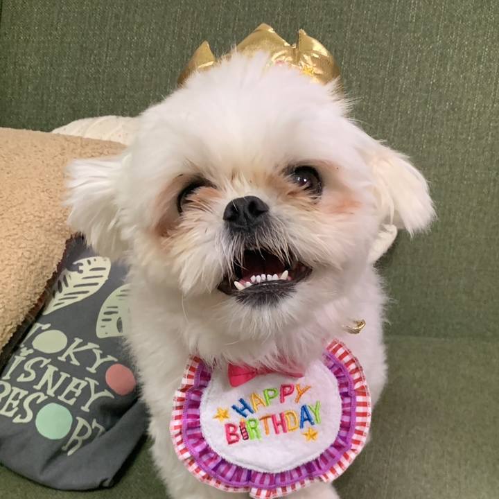 88f93759 91c6 4dcd beea f67d043b31ec 1697027390813