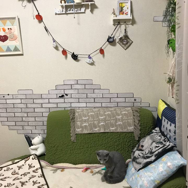 88f93a2f cbab 4baa afbd 190c4a0bd29d 1507811256293