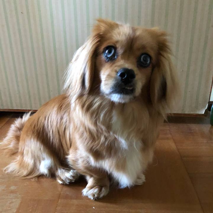 88f95c59 174e 4933 8149 b0608e1e9c41 1524738430716