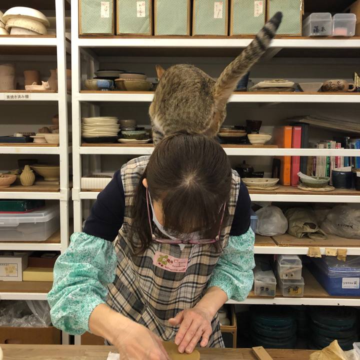 88f965f5 a55b 44e8 9e7e 53c1c8ac0538 1622058113831