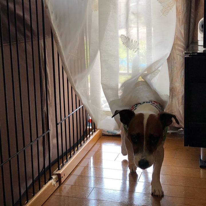 88f969ca 6eee 4711 b9dd c6582bd3e692 1598399682638