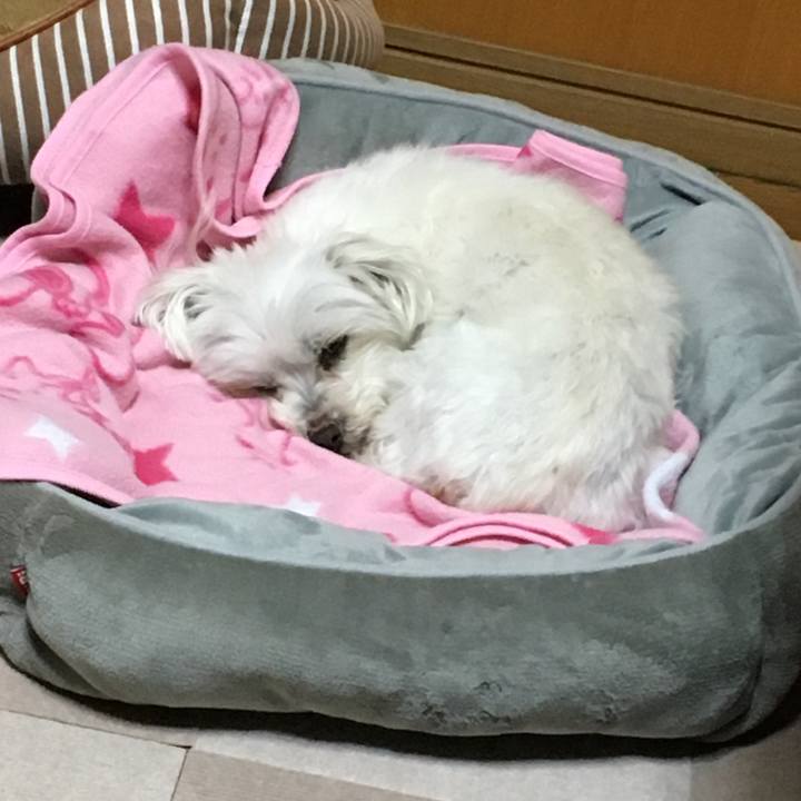 88f98748 b219 435f ab33 765f304046bb 1615116758146