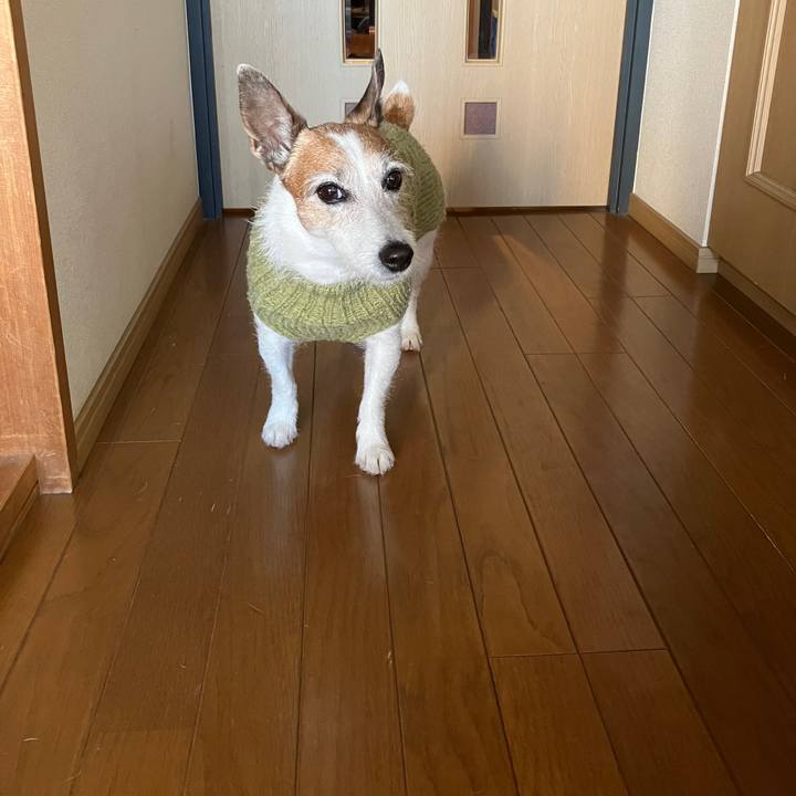 88f991e2 ba19 4d25 82ce 06a3dc2bb982 1706403534598