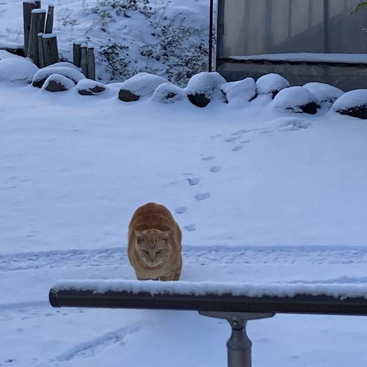 88f9de2c 61fa 4bb7 b110 e71662e2fdeb 1769051061241