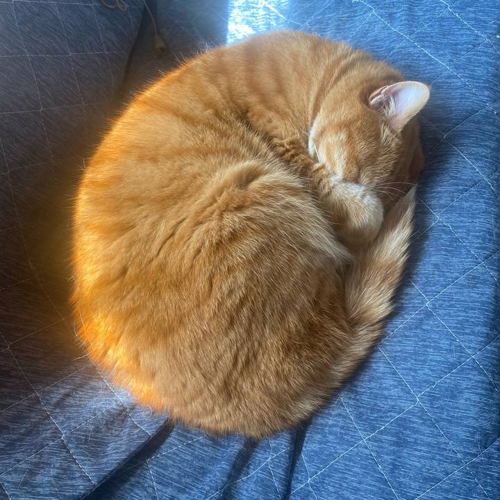 88f9ff3d e5a6 4401 ad8d c09179d02c49 1649382122894