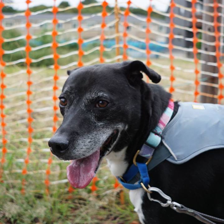 88fa2dce 9bba 432a beee 8445e37f60d8 1759969761069