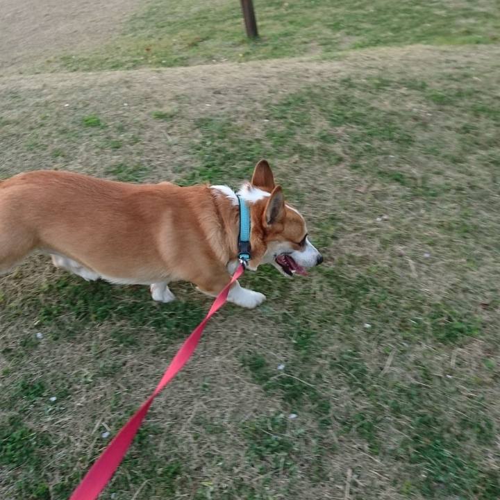 88fa356c 995b 4b37 95d4 d38fde74ca6e 1617622398319