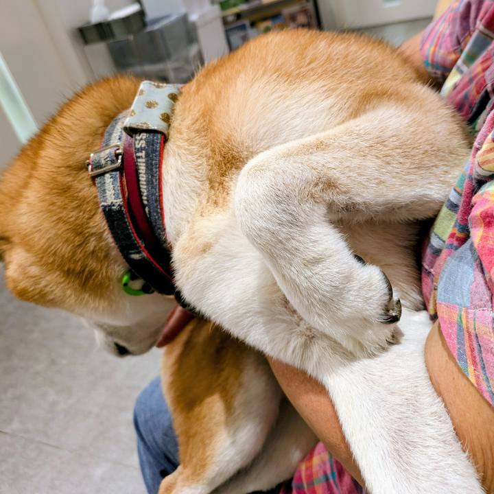 88fa641f b878 40cb a310 1ab77e21e04d 1760332448358