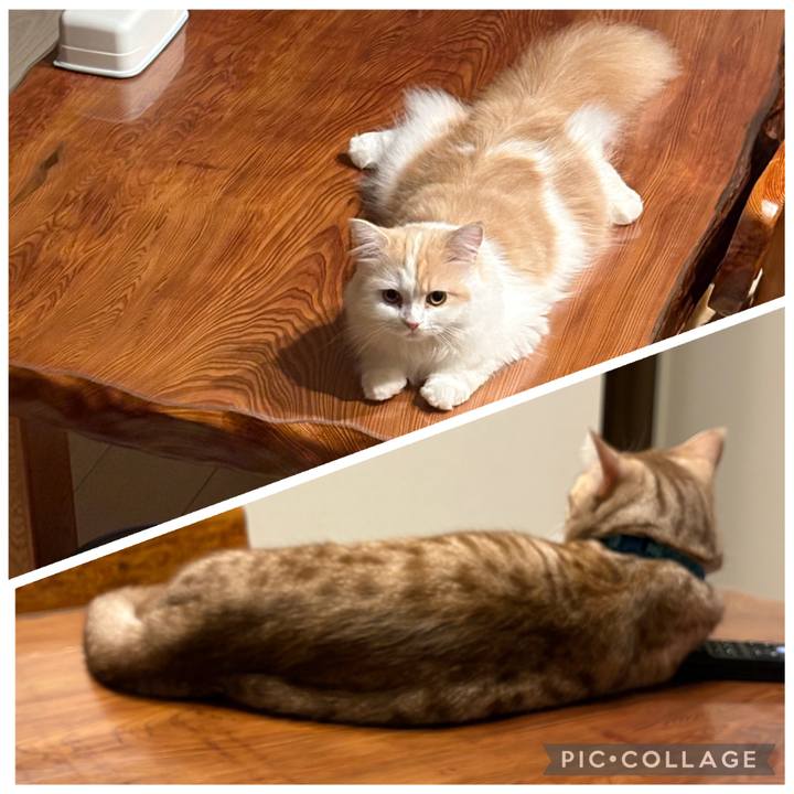 88fa7804 c2ad 481b a54c 409d099b188b 1757504544312