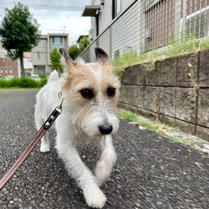 88fa84e9 5b2d 4c76 b686 e58d6f5f81b6 1727064243874