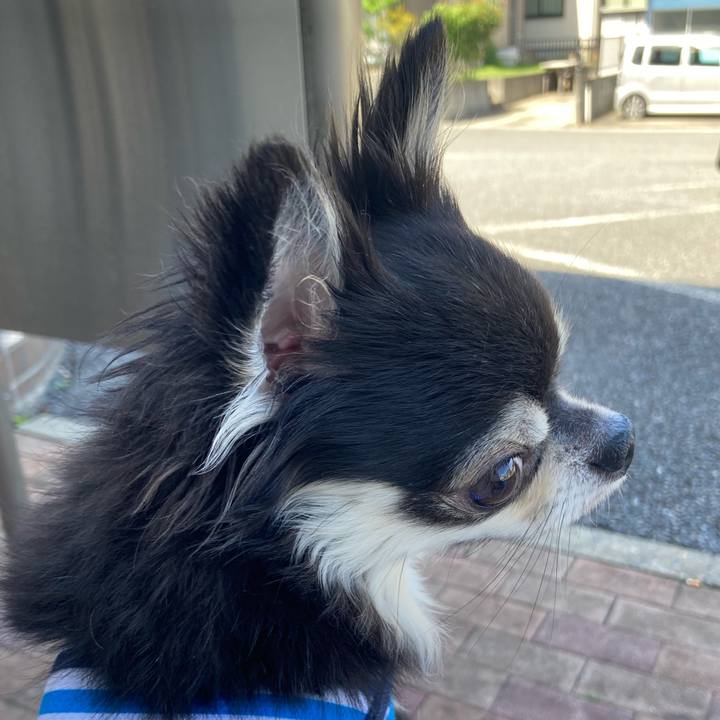 88fa9231 659b 4b68 8cfd a98b2510e86c 1693455801483