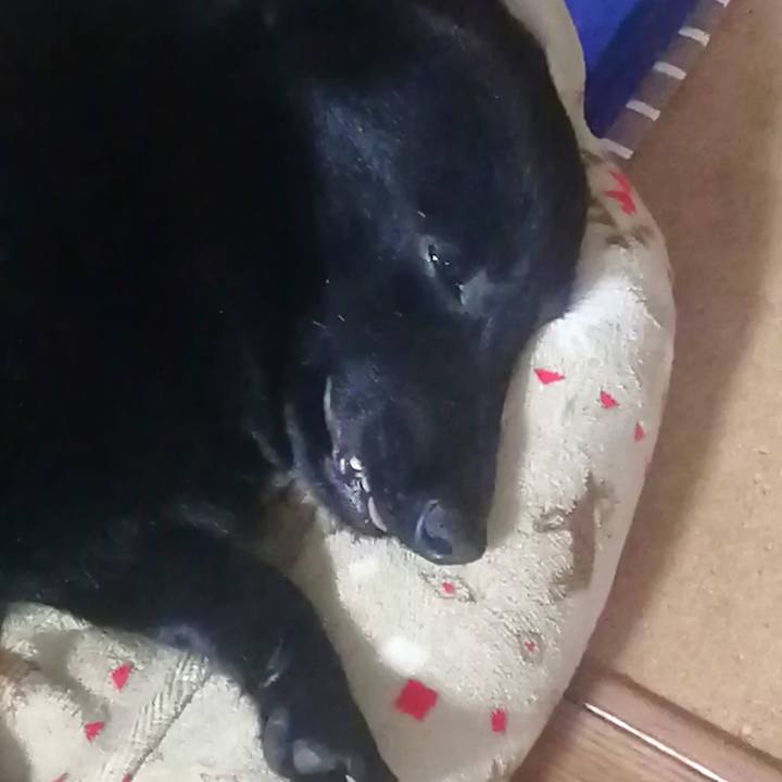 88fae7e3 21a6 4cc9 8087 7e8b7acb403f 1635604651686