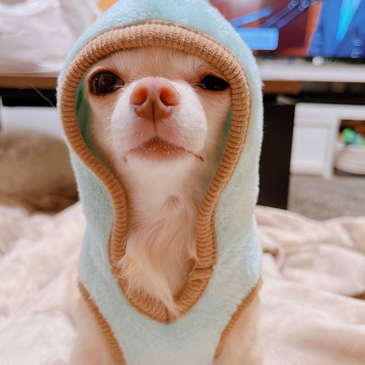 88faeff7 7ac7 42e4 b23d b8e0e9953141 1665041452738