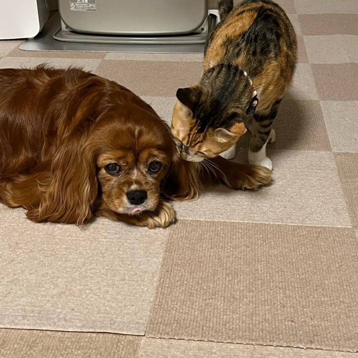 88faf716 9588 4db6 a4f6 aa980d956b82 1672484929843