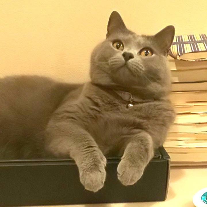 88fafaa0 29d7 4fc6 9162 d4a70d622732 1594610820118