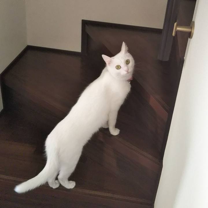 88fb1171 649a 47b3 a04f a8c831726988 1624930383447