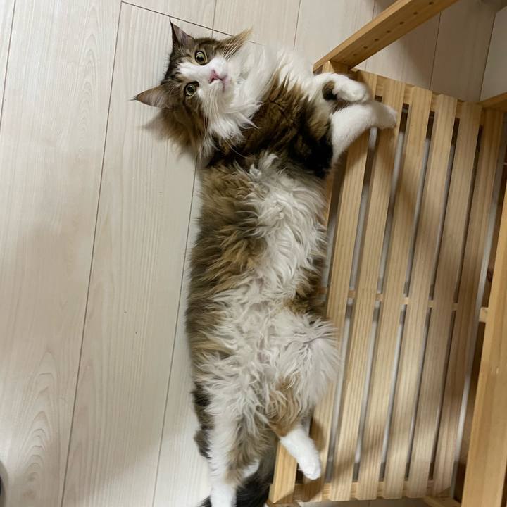 88fb2d94 40b5 4f91 b3eb 7f3f30978287 1672344154396