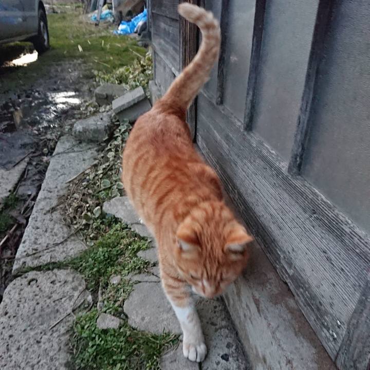 88fb4c47 f186 45f6 bf9e d10edd7aab0e 1583226173723