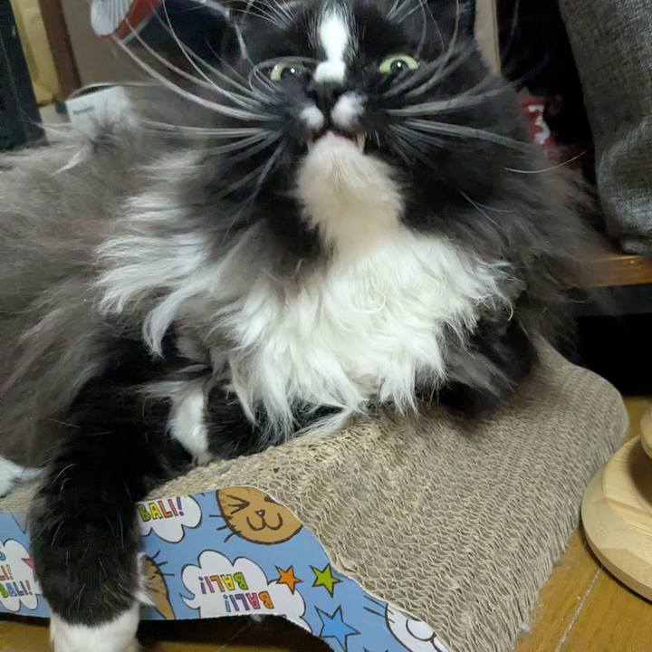 88fb67ea 7273 4c73 b4cf ab2c5a148dcc 1772285119312