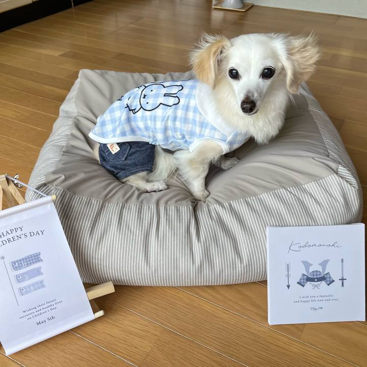 88fb7f8b 4f50 4c77 ad87 b742e89ae83b 1746424356358