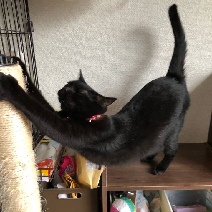 88fb9c20 5555 4a66 9c80 e40574d84374 1625178726374