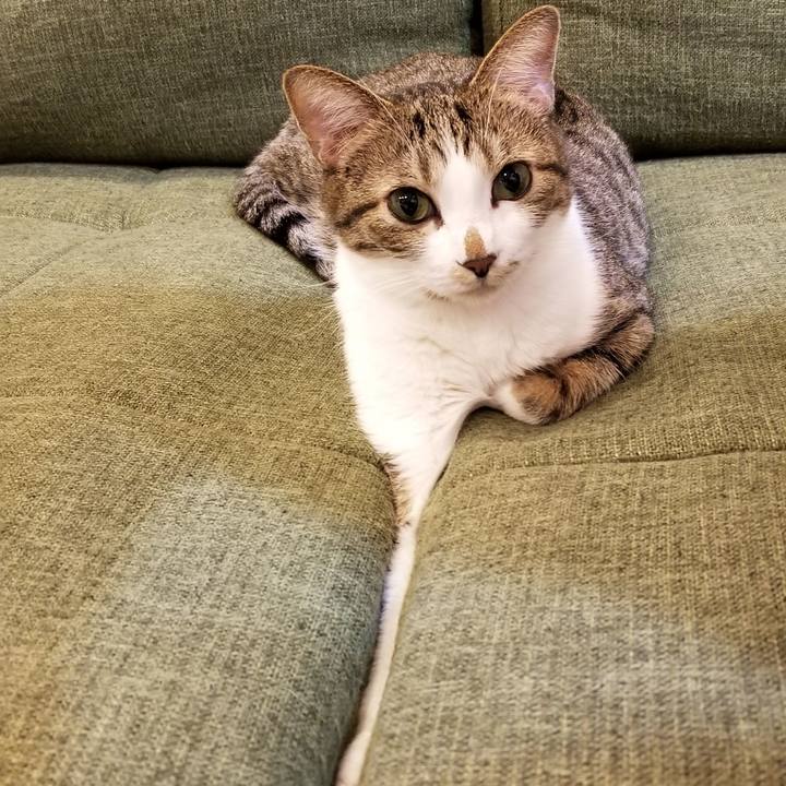 88fb9c37 1e1c 4006 8dc9 ba3c16f53b90 1547037135589