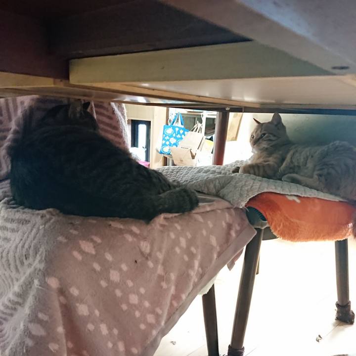 88fbcfb2 6124 42ab 9fbc b1e2e4cf2c31 1648849785660