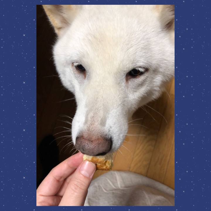 88fbdb53 c790 4022 8df4 b8e240ded46c 1636621438297