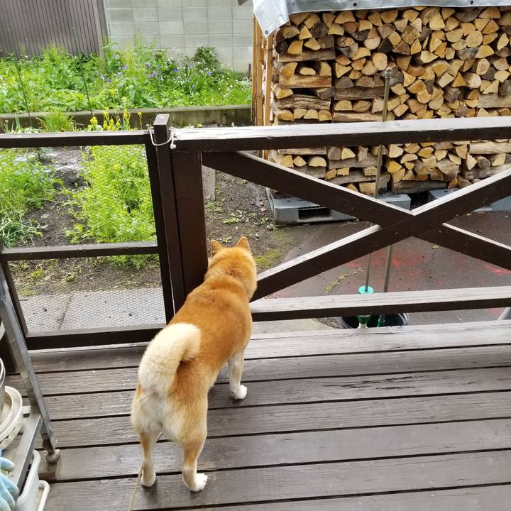 88fc33e4 c6ac 4d7d 9282 0421bc8b4062 1623625838111