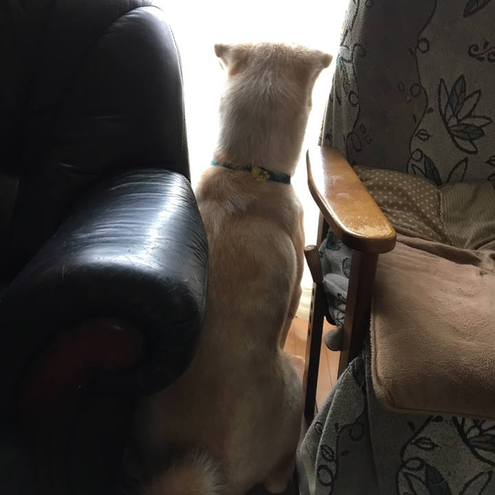 88fc3e8e 1d30 402b a4cd b5c59cf421c1 1531007067513