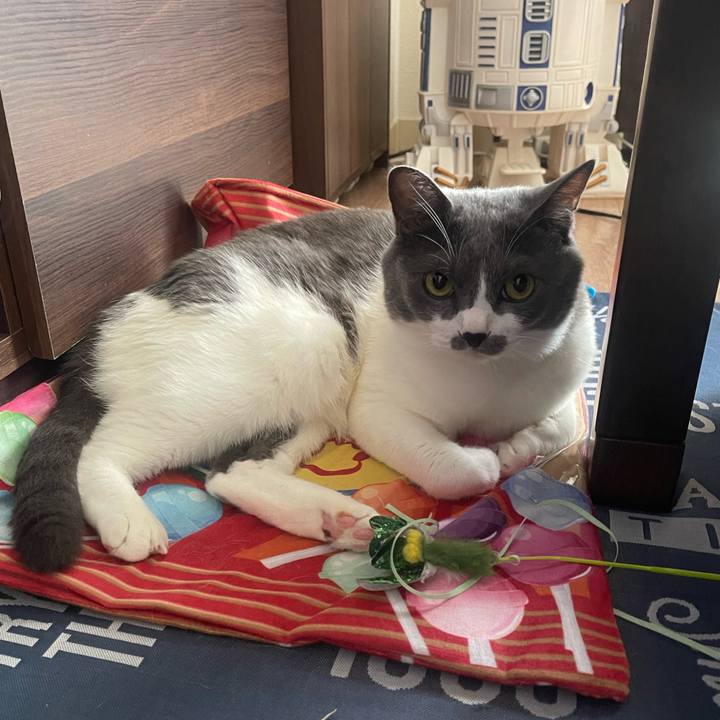 88fc55df efff 4c7b 8972 97b16354f1f6 1693875868424