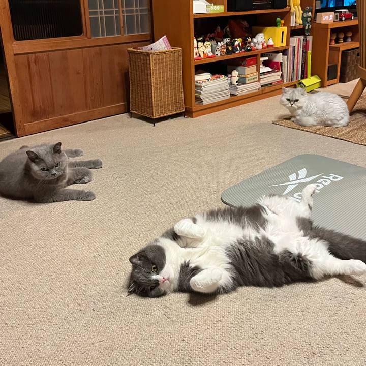 88fc64d6 d6dd 4a27 b574 c82bfb8f46c4 1751548640243